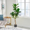 XINGHANZHENXUAN Artificial Fiddle Leaf Fig Tree, Faux Plant with Lifelike Textured Leaves, Low-Maintenance Decor for Modern Homes - 2 of 4