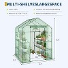 GustoWave 57x57x77 Inch Portable Walk-In Greenhouse With Three Tiers Of 12 Shelves - 3 of 4