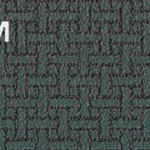 oakland as home 1988