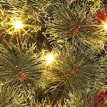 green_unlit flowering pine needle