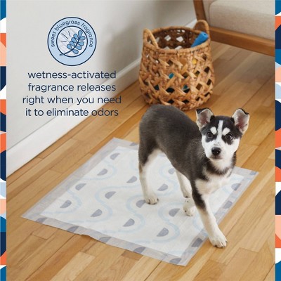 Large Blue and White Smart Prints Dog Training Pads