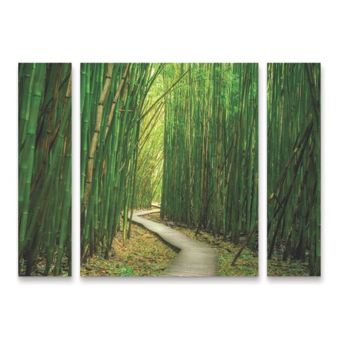 Trademark Fine Art Dennis Frates Bamboo Path 3 Piece Panel Set Art : Target