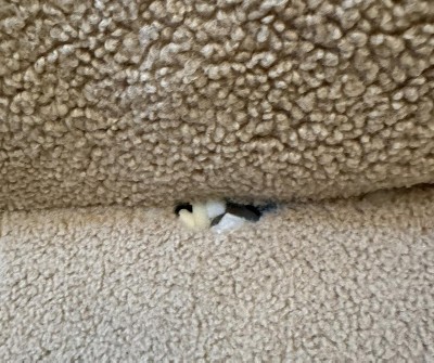 Guest review image 1 of 1, zoom in
