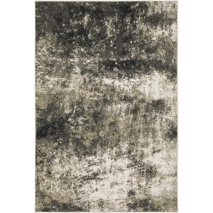 Oriental Weavers Venice 4332Y Charcoal/ Beige Indoor Area Rug - 6'7" x 9'2" - 1 of 1
