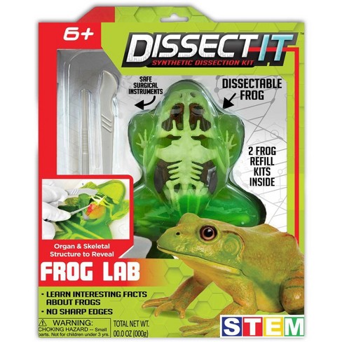 Top Secret Toys Dissect It - Frog Nature Exploration Toy : Target