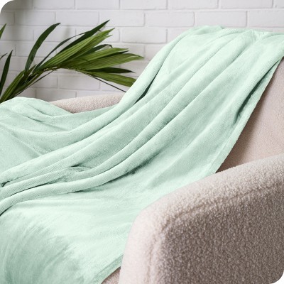 Luxurious Spring Mint Full/Queen Microplush Fleece Reversible Blanket