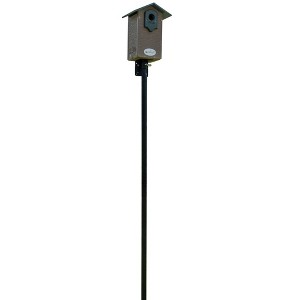 JCS Wildlife Ultimate Bluebird House - Mounting Pole Bundles Available! - 1 of 4