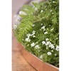 Gardener's Supply Company Large Round Copper Plant Tray | 14 inches, For Decorative Indoor Plant Flower Succulent Display - 2 of 4