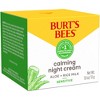 Burt's Bees Night Cream for Sensitive Skin - 1.8oz - image 3 of 4