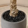 8ft UV Resistant Artificial Olive Tree with Grey Tall Planter, Fake Olive Tree for Indoor Outdoor Home Decor, Big Faux Plants - 4 of 4