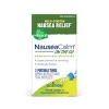 NauseaCalm-On the Go by Boiron  -  160 Pellet - 2 of 4