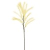 White Pampas Stem – 40"H Artificial Floral Stem with Bendable Fronds, EVA Foam & Wire Construction (Set of 6) By Kalalou - 3 of 3