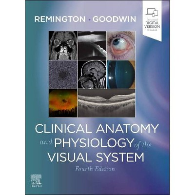 Clinical Anatomy and Physiology of the Visual System - 4th Edition by  Lee Ann Remington & Denise Goodwin (Hardcover)