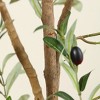 Kazeila Artificial Olive Tree Tall Faux Silk Plant for Home Office Decor Indoor Fake Potted Tree with Natural Wood Trunk and Lifelike Fruits - image 4 of 4