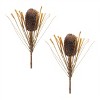 Fall Banksia Pod Stem (Set of 2) - 3 of 3