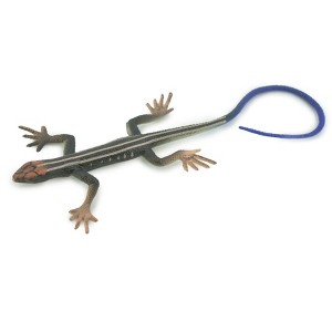 Collectible Wildlife Gifts | Lizard, Western skink, five-lined Skink, Museum Quality, Rubber Reptile, Hand Painted, Toy, Gift,  5"  CH699 BB174 - 1 of 4