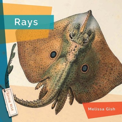 Rays - by  Melissa Gish (Paperback)