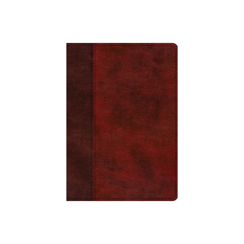 ESV Single Column Journaling Bible, Large Print (Trutone, Burgundy/Red, Timeless Design) - (Leather Bound)