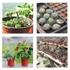 100pcs 90mm Grow Box Fall Resistant Tray For Home Garden Plant Pot Nursery Flower Pots - 3 of 4