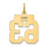 Black Bow Jewelry 14k Yellow Gold, Athletic Collection, Small Polished Number 63 Pendant - 3 of 4