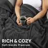 Electric Blanket Nordic Premium - Sunbeam - 4 of 4