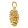 Black Bow Jewelry 14k Yellow Gold 3D Polished Pinecone Pendant - 2 of 4