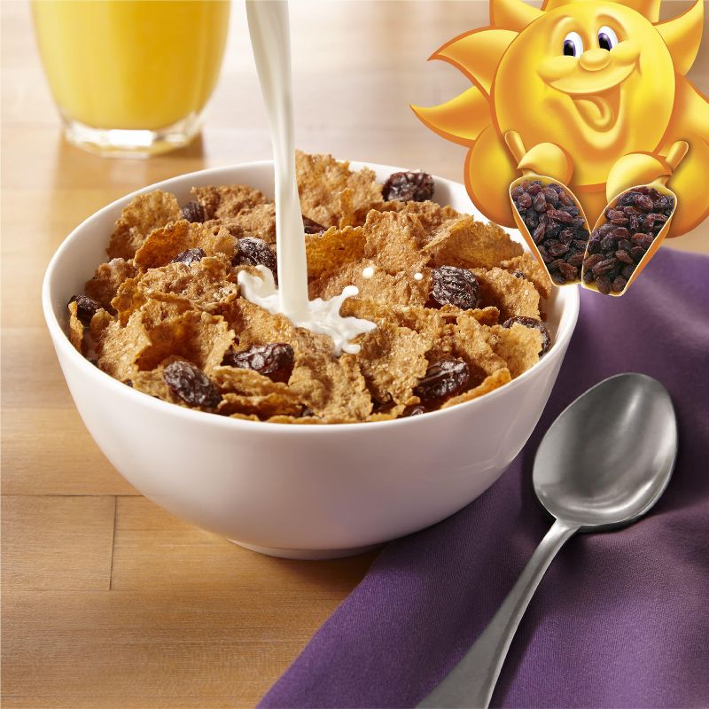 Kellogg's Raisin Bran Breakfast Cereal, 6 of 18
