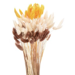 Unique Bargains Natural Dried Floral Bunny Tail Artificial Plants 17" 120 Pcs - 1 of 4