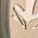 tan body / green roof