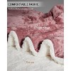 Washable Electric Heated Throw, Double-Side Velvet Soft Fast Heating Blanket, Heat Levels & Auto Off, Over-Heat Protection - 4 of 4