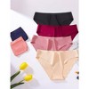TIME HOLLOW Multi-Color Silky Hipster Bikini Panties - 3 of 3