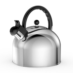 Stainless Steel Whistling Tea Kettle, 3.17 Quart, Teapot for Stove top with Wide Mouth - 1 of 4