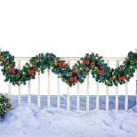 Collections Etc 9-Foot Battery-Operated Colored Lighted Garland 105 X 9 X 3