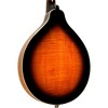 Gold Tone Left-Handed A-Style Mandolin with Pickup Vintage Sunburst - 4 of 4