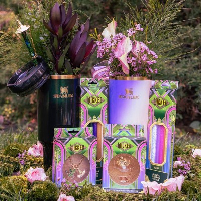 CharCharms 4pk 40oz Water Bottle Straws Wicked Elphaba