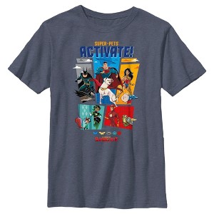 Boy's DC League of Super-Pets Activate Group Panels T-Shirt - 1 of 4