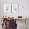 Stupell Industries White Hawk Winter Birds, 16" x 20" - 2 of 4