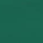 canvas forest green
