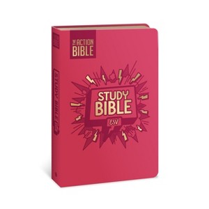 The Action Bible Study Bible Esv, Leathersoft, Pink, Full Color - by  David C Cook (Leather Bound) - 1 of 1