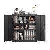 Vynxaria Storage Locker,File Organizer, Storage Cabinet with Door Locks and Two Adjustable Shelves, Suitable as a Cabinet for Home - 2 of 4