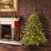 6' Prelit LED Feel Real Frasier Grande Artificial Christmas Tree Dual Color Lights - National Tree Company - 2 of 4