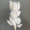 Alilang Dried Bunny Tail Grass Stems for Modern Home Decoration and Floral Arrangements, 23.5 Inches - 3 of 3