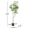 180CMARTIFICIAL PACHIRA MACROCARPA - 2 of 3