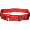 Guardian Gear Nylon Martingale Dog Collar, Fits Necks 18 - 2 of 3