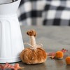 TopComfy Decorative Object Polka Dot Pumpkin Set Stylish Fall Decor for Harvest Festival Display, Multicolored, 8.65"*6.7"*9.05" - 2 of 4
