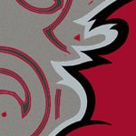 tampa bay buccaneers