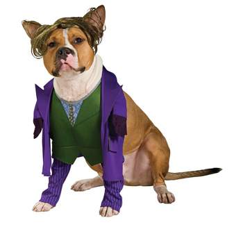 Rubie's DC League of Super Pets Lulu Small Pet Costume, As  Shown, Extra-Small : Pet Supplies