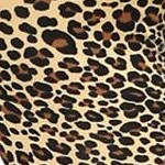 beige-leopard