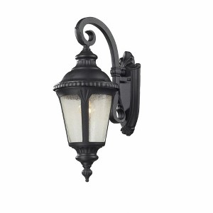 Z-Lite Medow 1 - Light Wall Light in  Black - 1 of 2