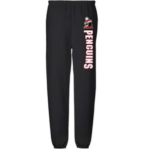 Youngstown State University Officially Licensed Apparel - Collegiate Name Jogger Sweatpants - 1 of 4
